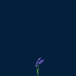 Cover of us