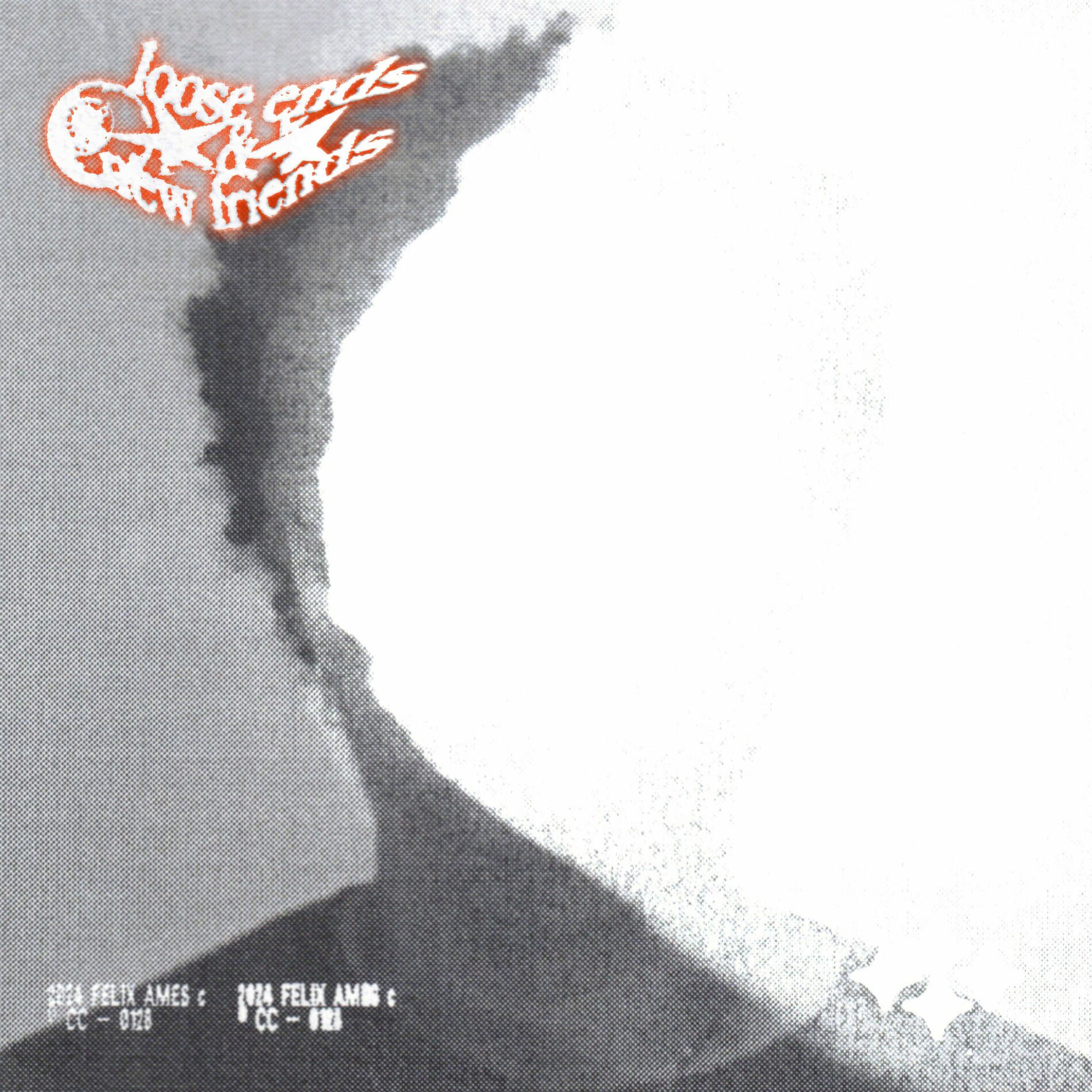 Album cover of Loose Ends & New Friends