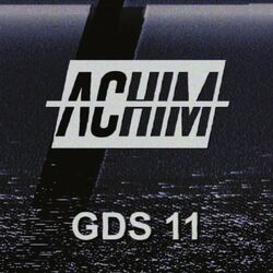 Cover of GDS 11