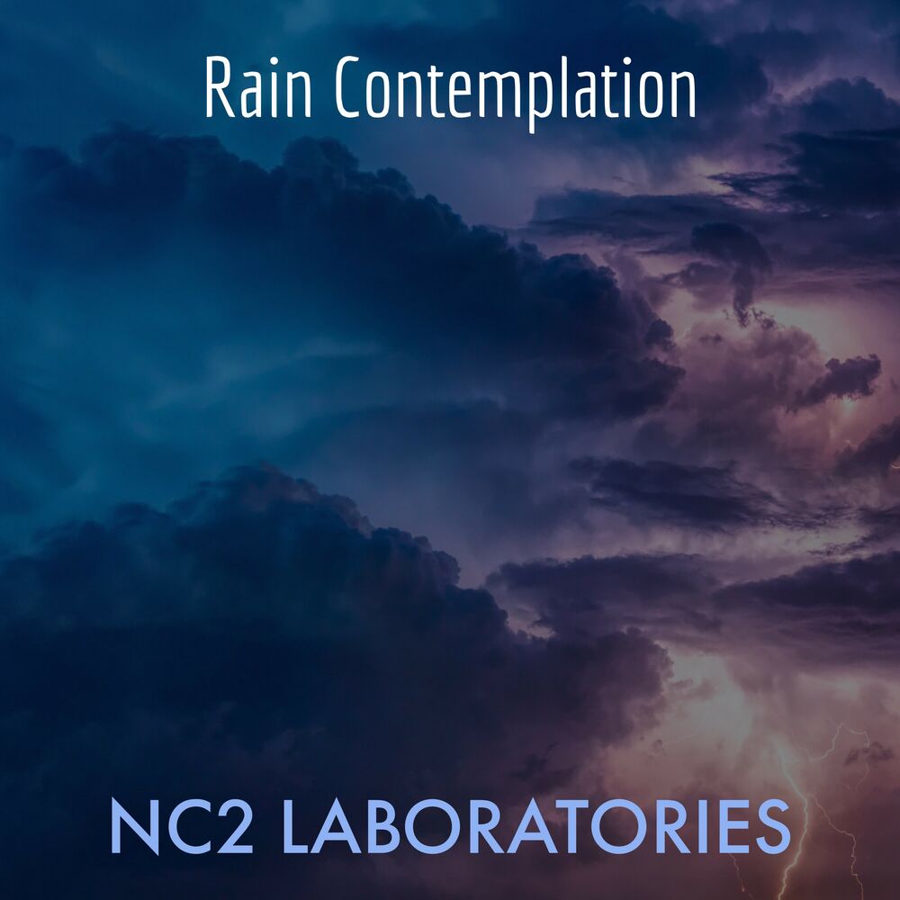Picture of Rain Contemplation