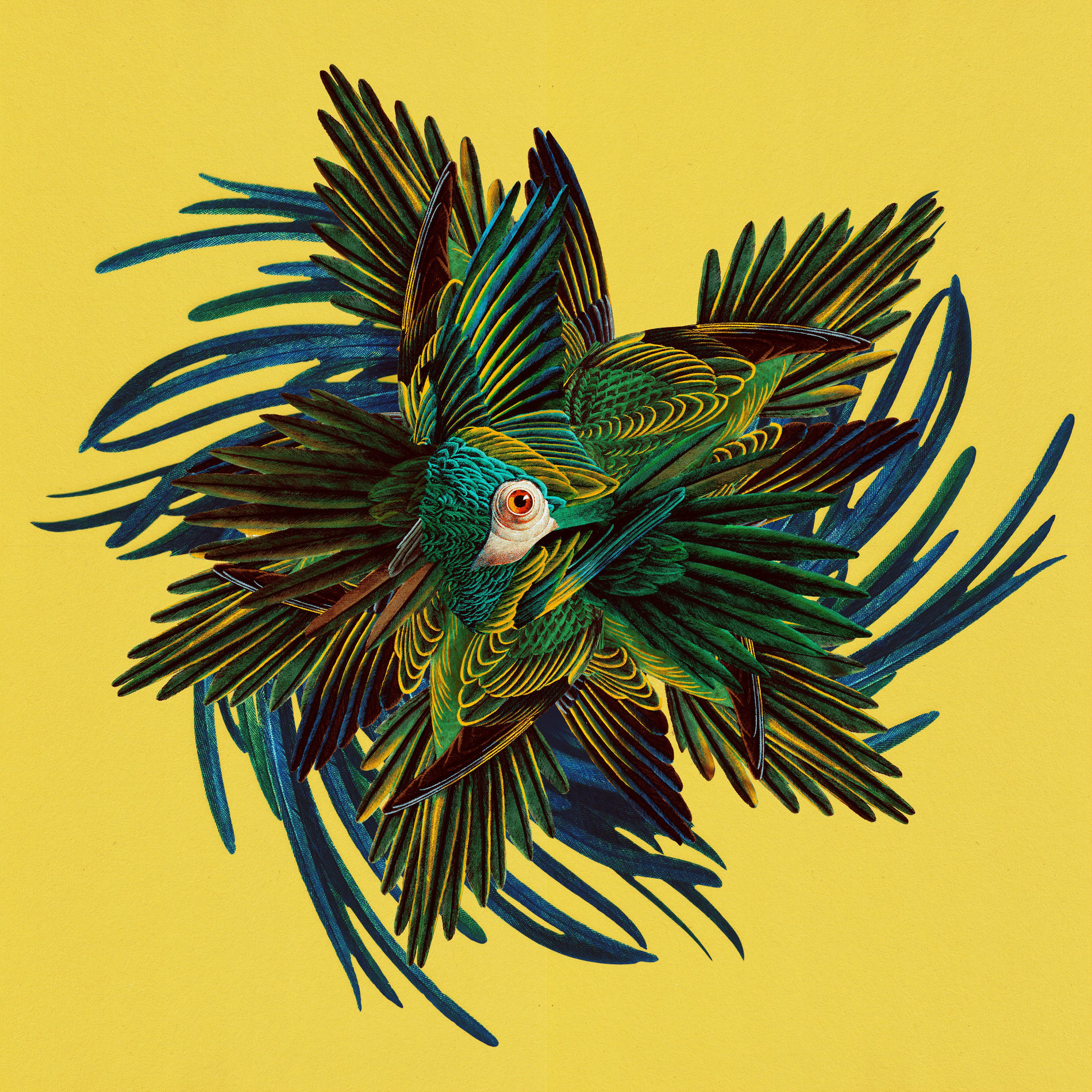 Album cover of Full Attention