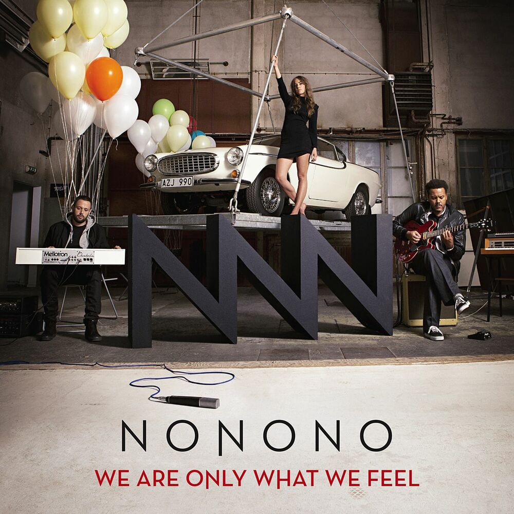 Picture of We Are Only What We Feel