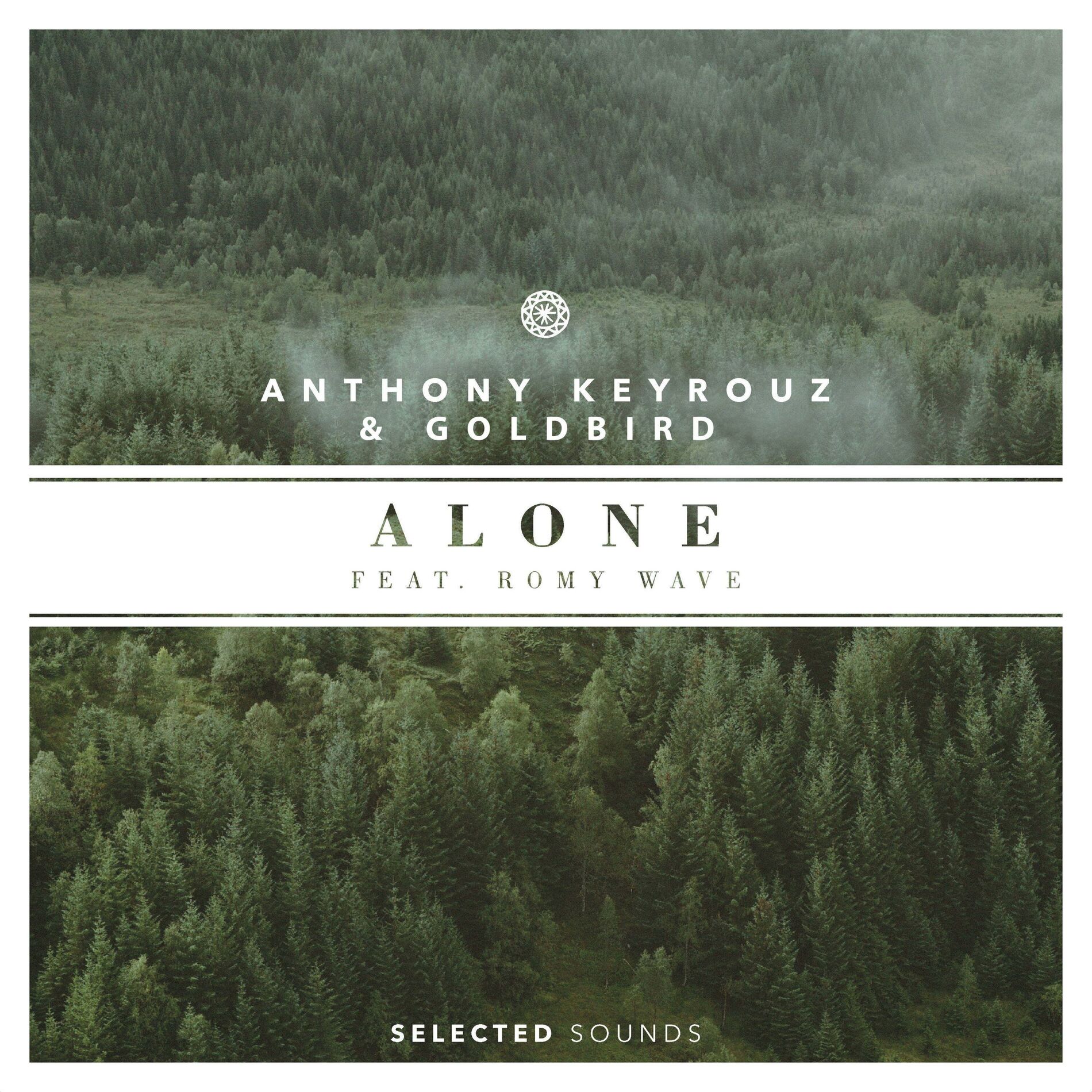 Album cover of Alone