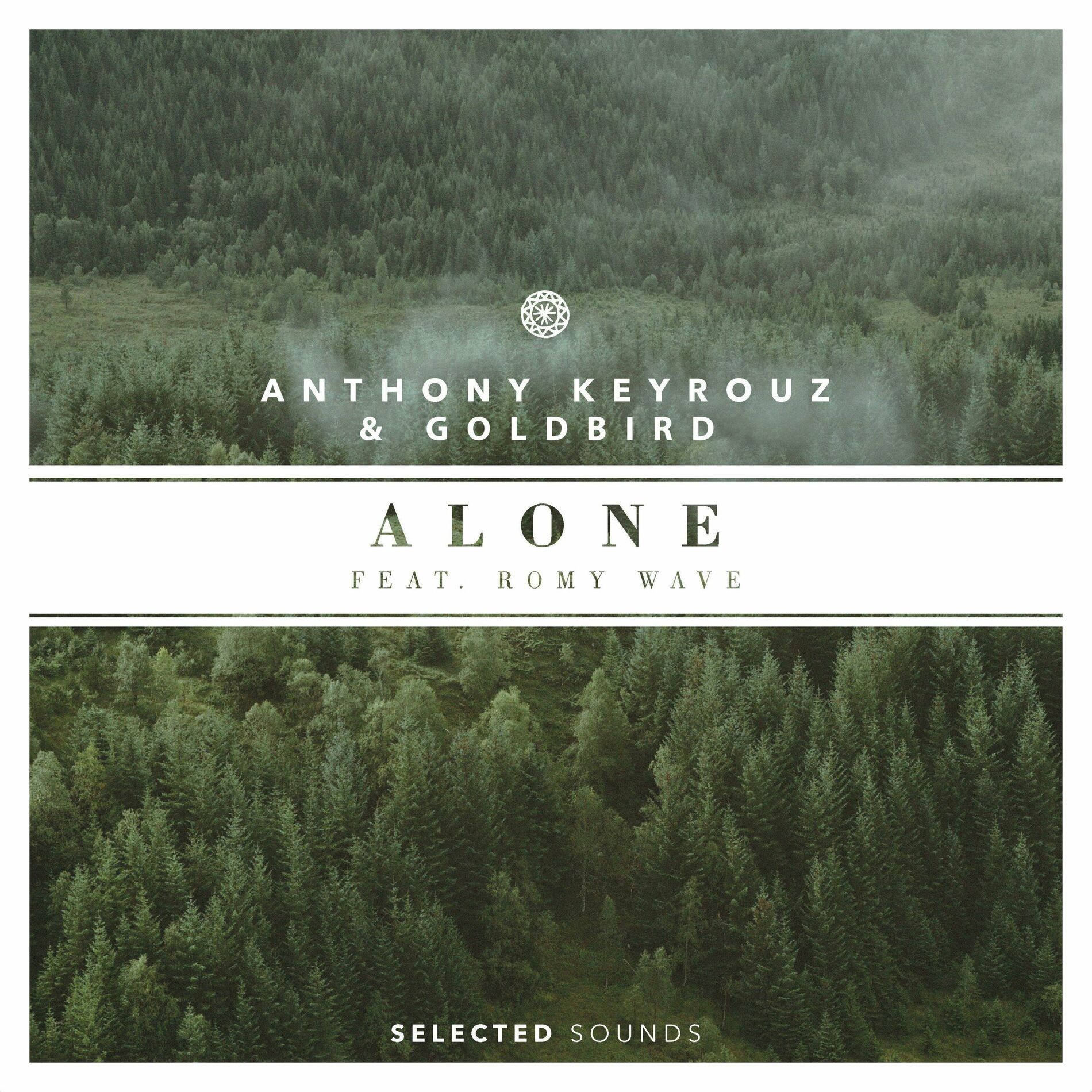 Album cover of Alone