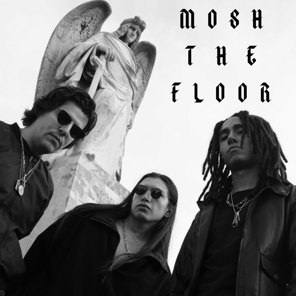 Picture of Mosh the Floor