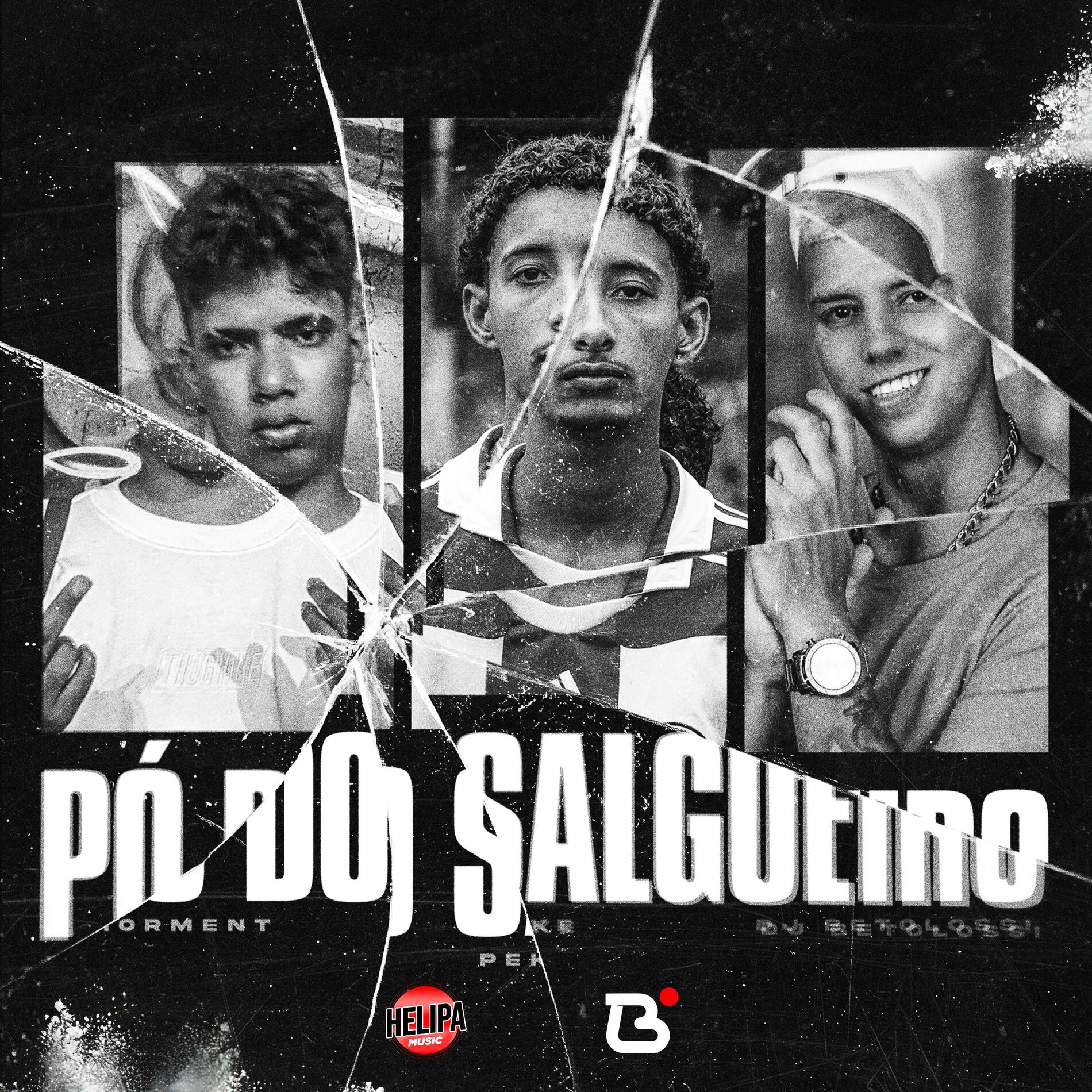 Album cover of Pó do Salgueiro