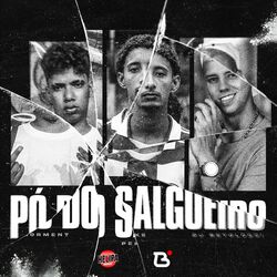 Cover of Pó do Salgueiro