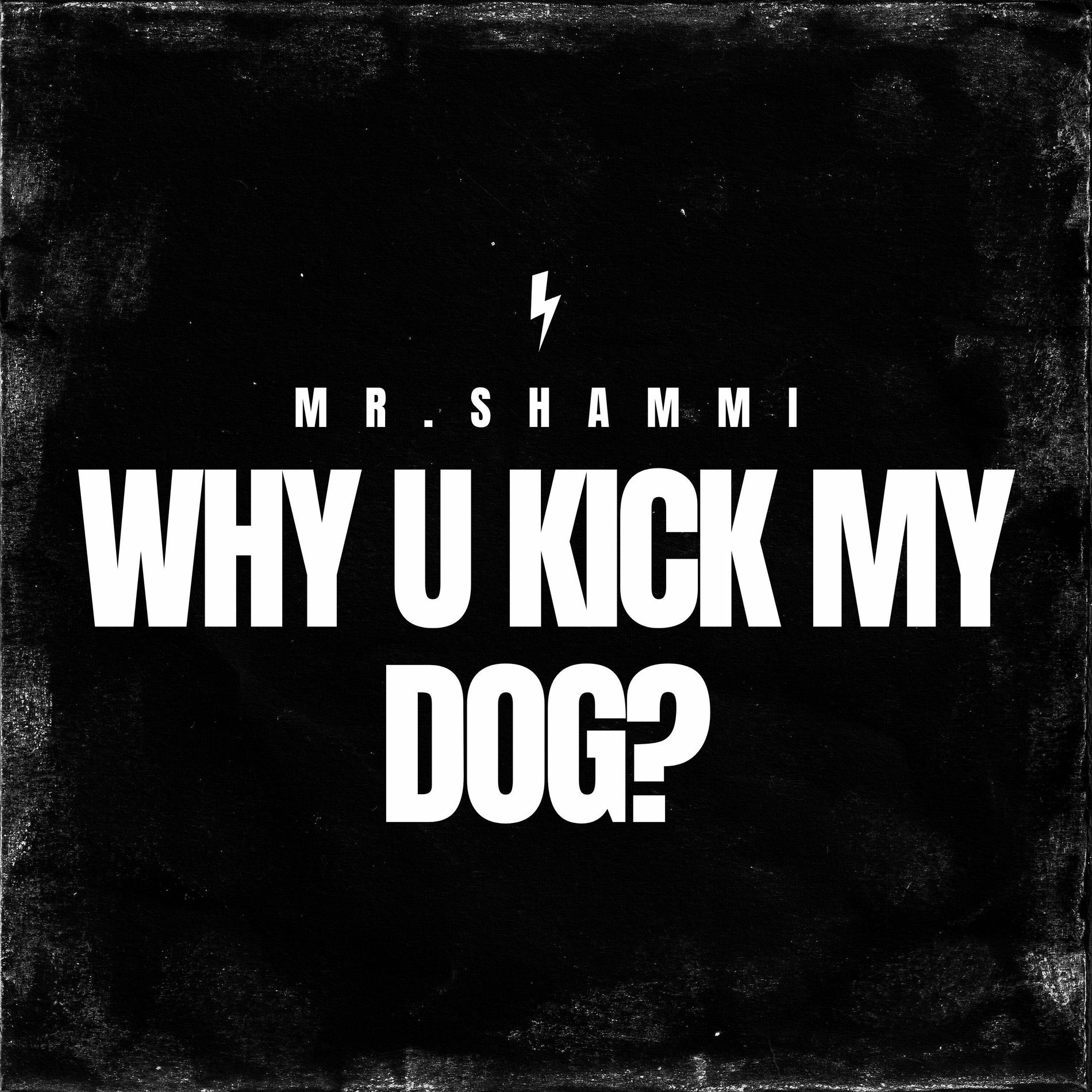 Album cover of Why U Kick My Dog?