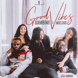 Cover of Good Vibes