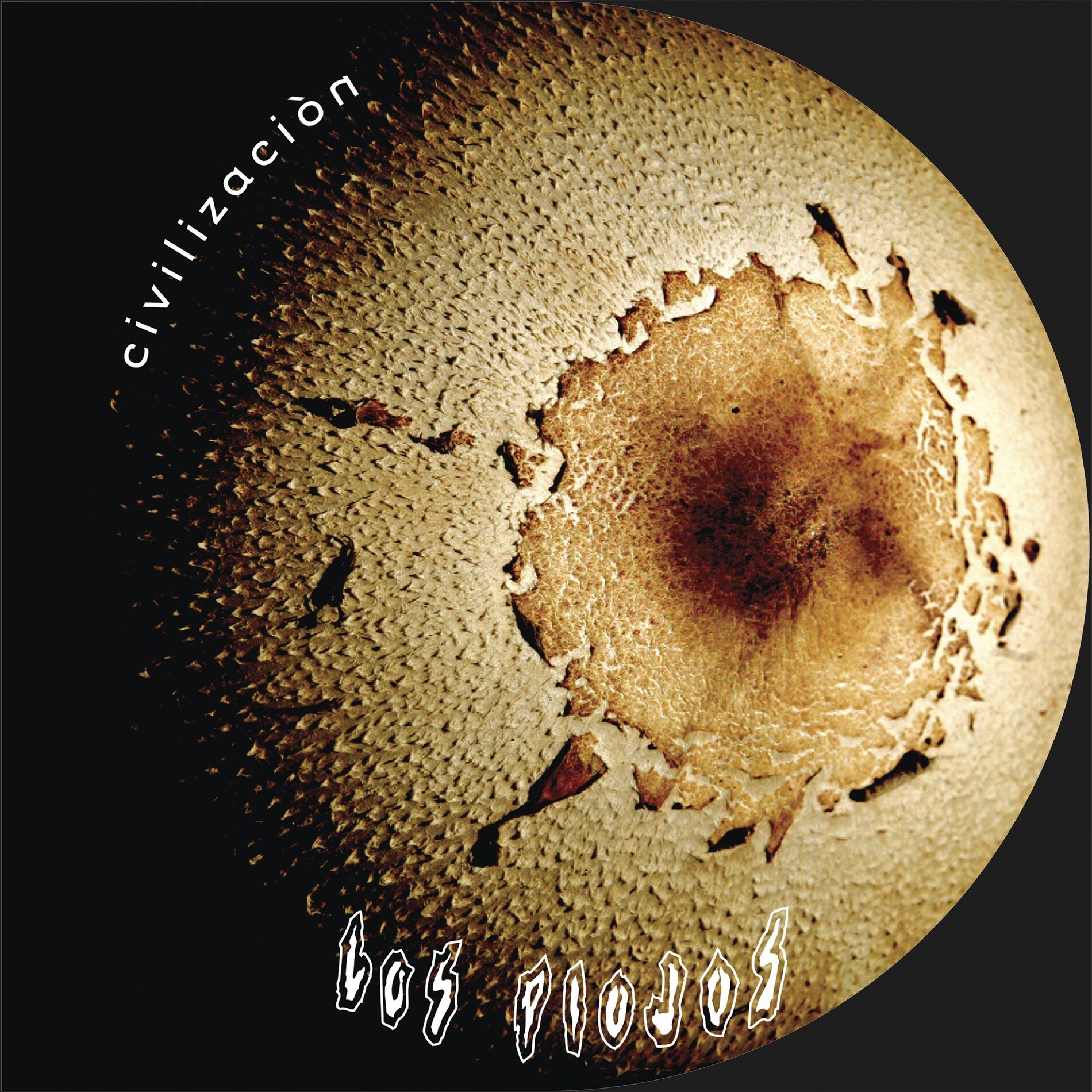 Album cover of Manjar