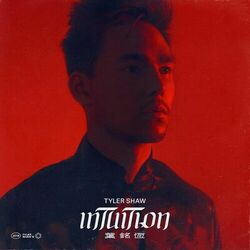 Cover of Intuition