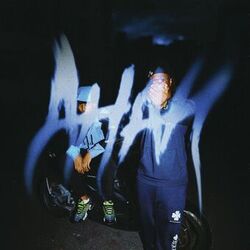music cover