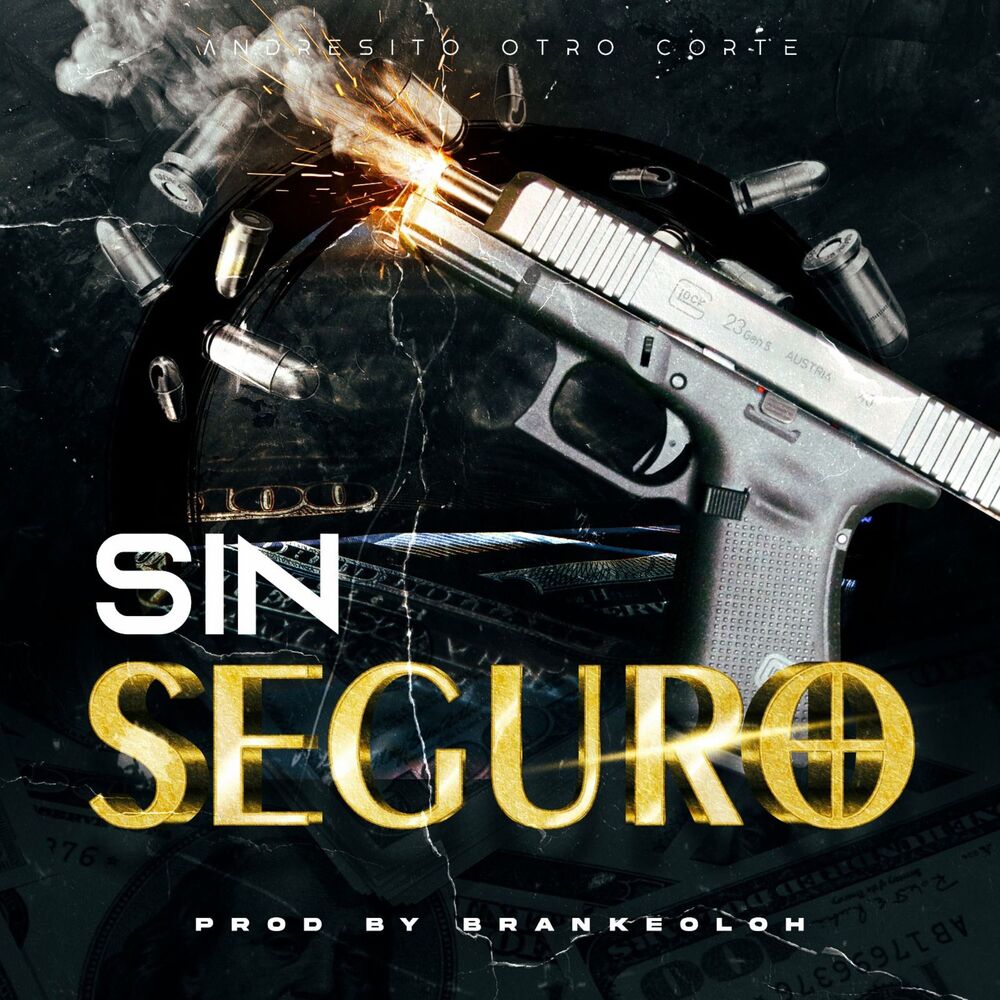 Picture of Sin Seguro