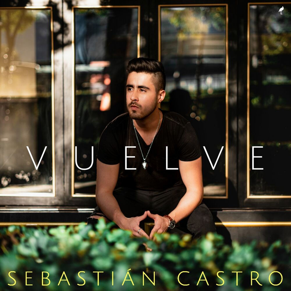 Picture of Vuelve
