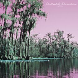 Cover of Polluted Paradise 2