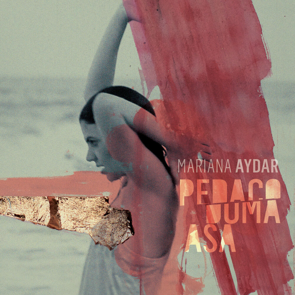 Picture of Pedaço Duma Asa