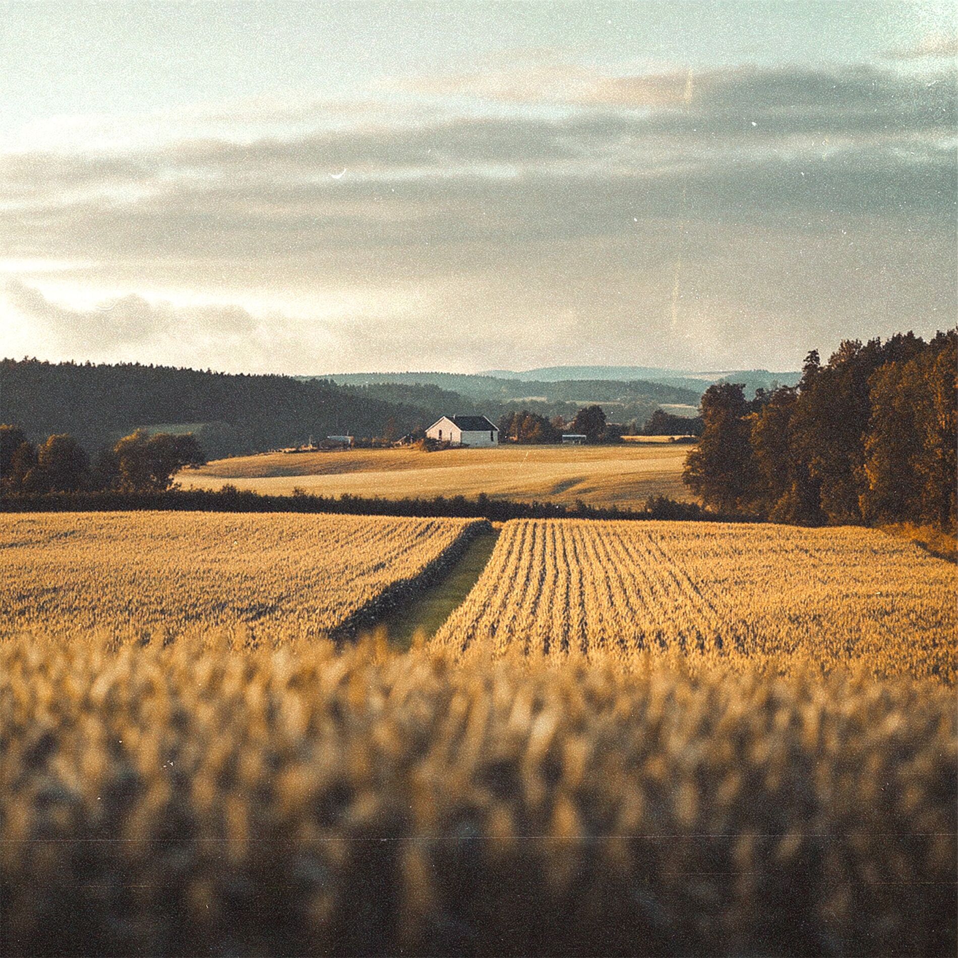 Album cover of Minnen