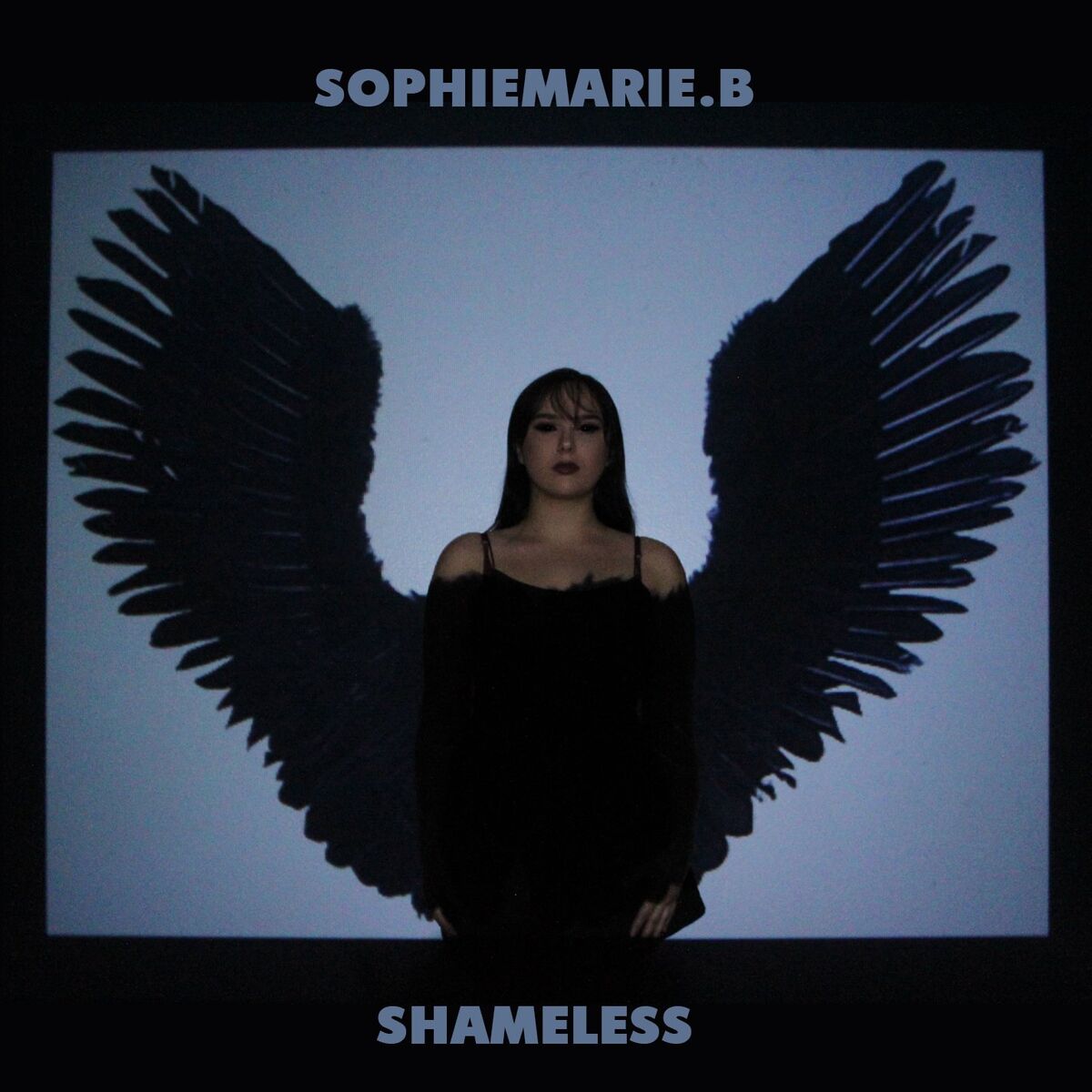 Album cover of Shameless