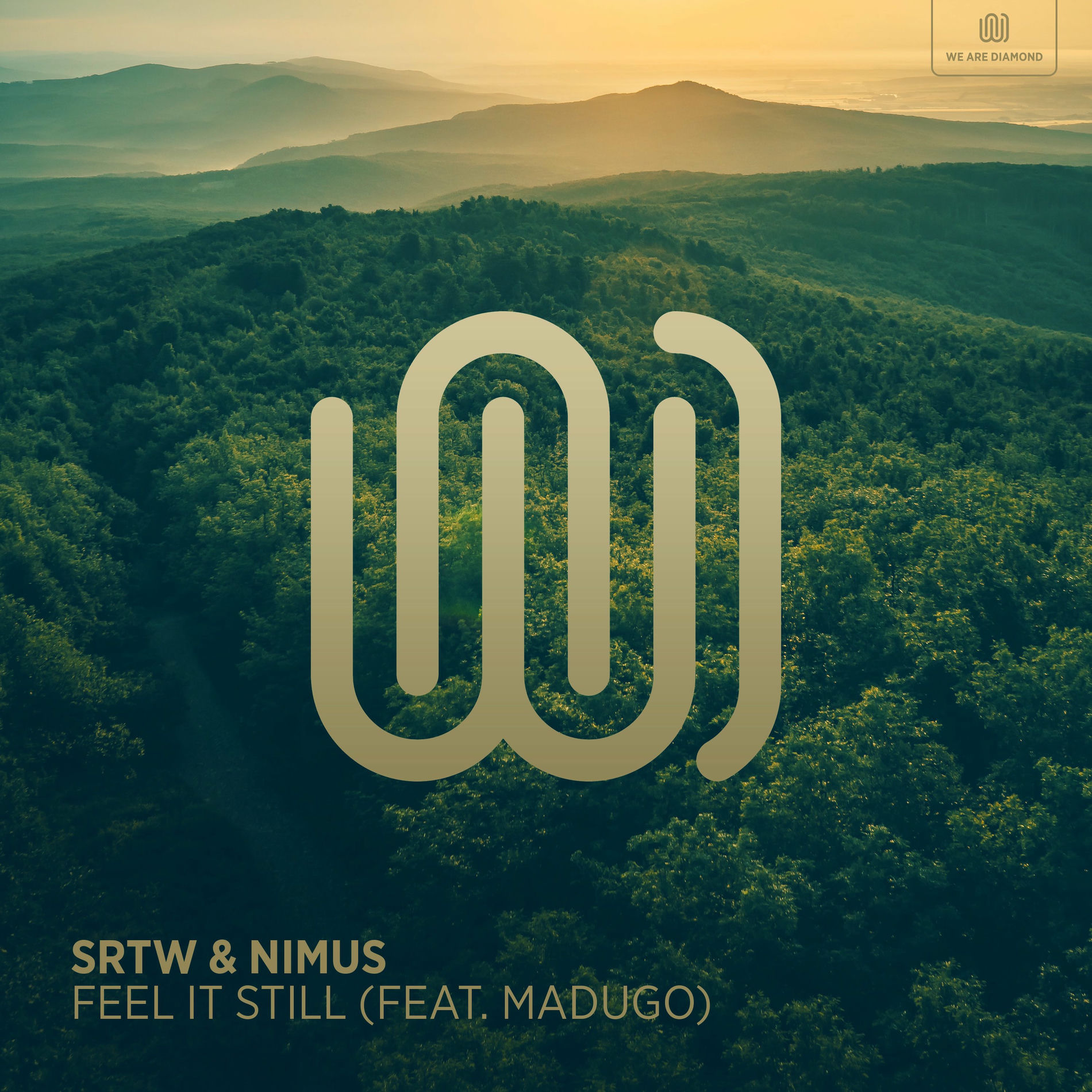 Album cover of Feel It Still