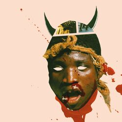 Cover of Deaf Safari