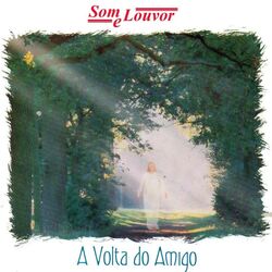 Cover of A Volta do Amigo