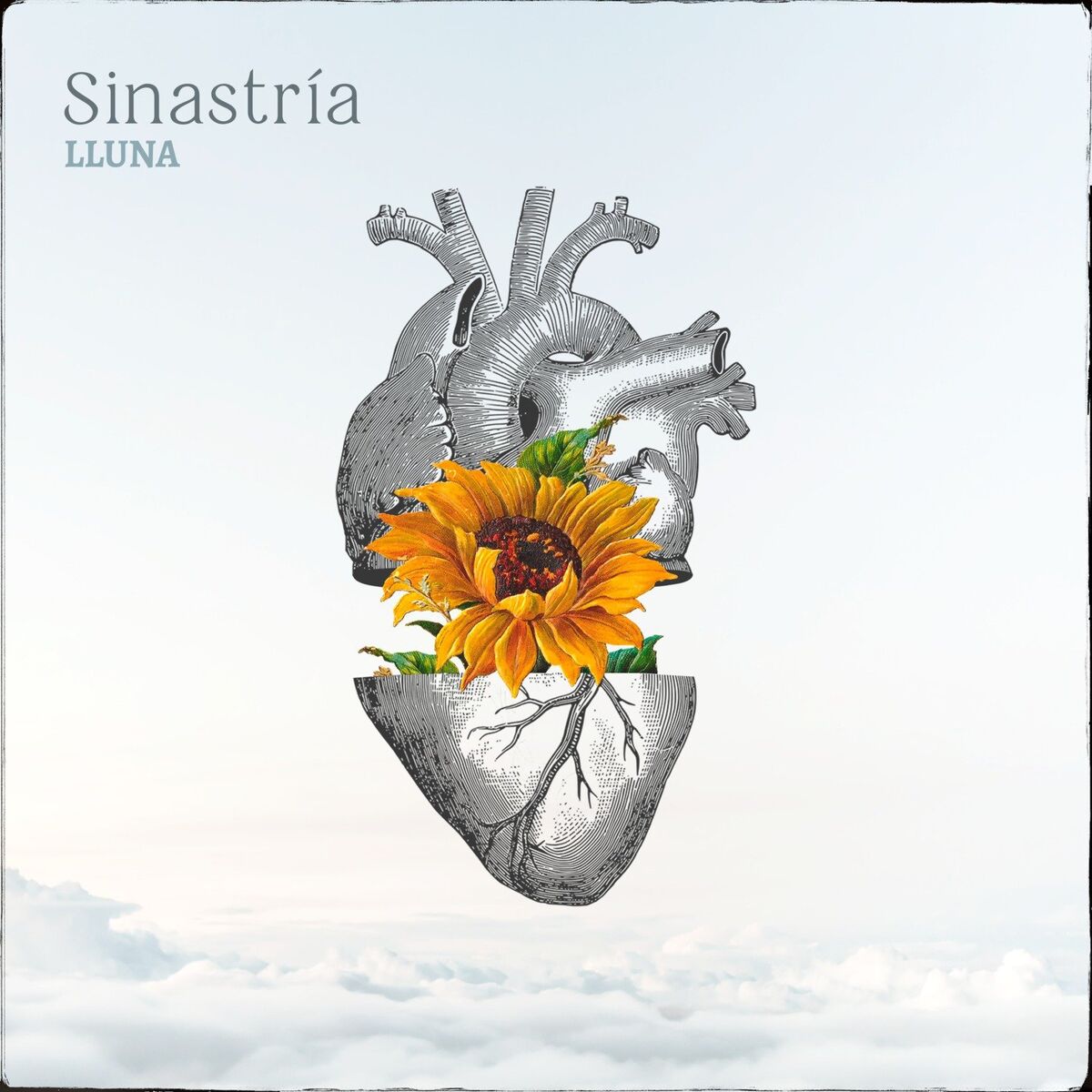 Album cover of Sinastría