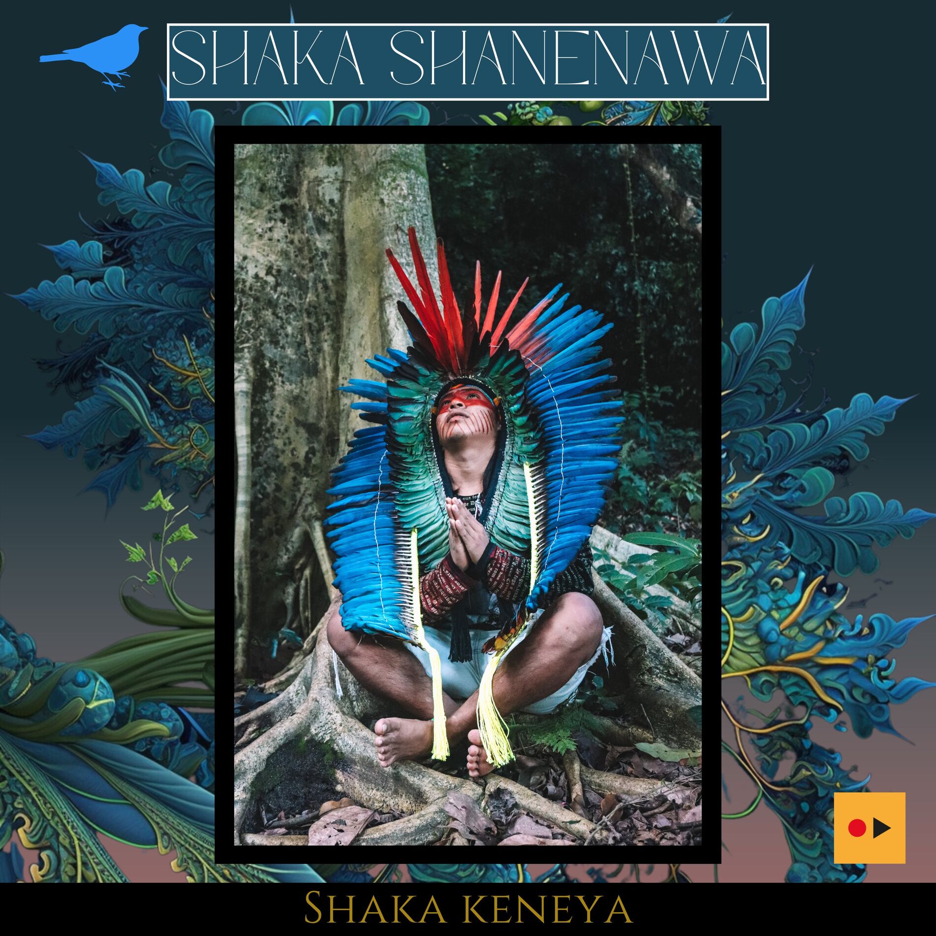 Album cover of Shaka Keneya
