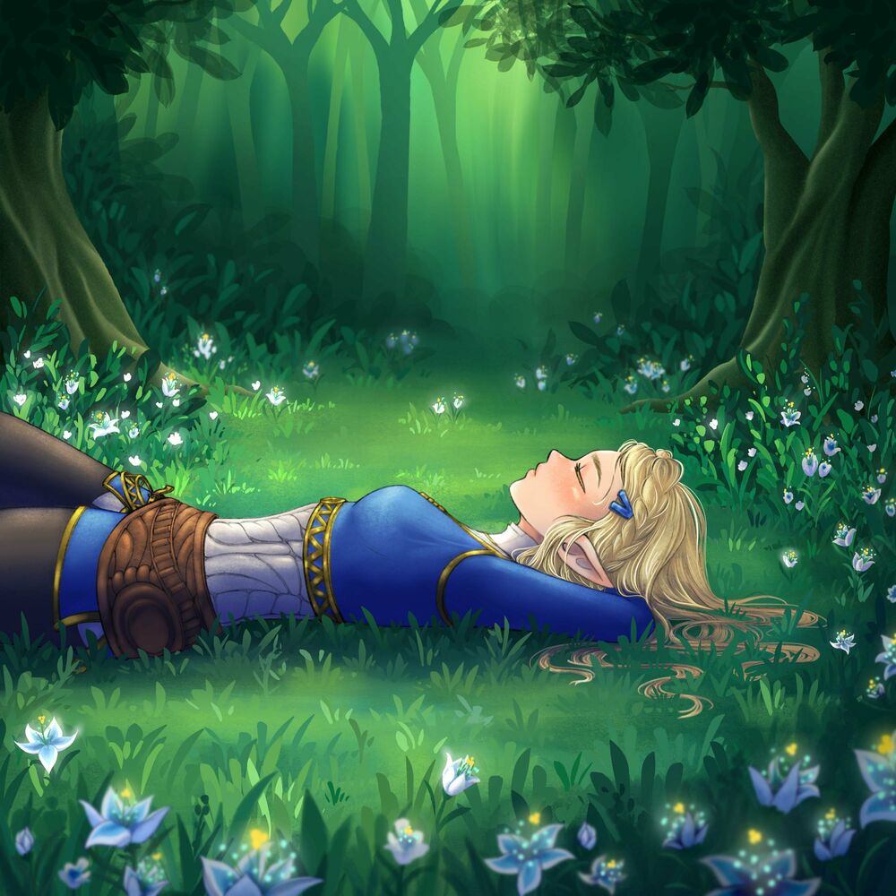 Picture of Zelda & Sleep 2