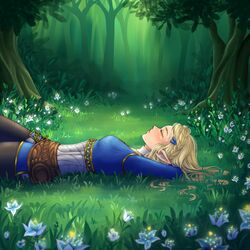 Cover of Zelda & Sleep 2