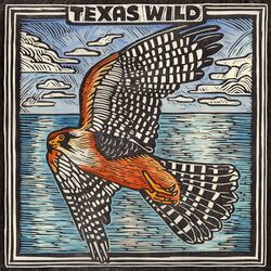 Cover of Possum Kingdom