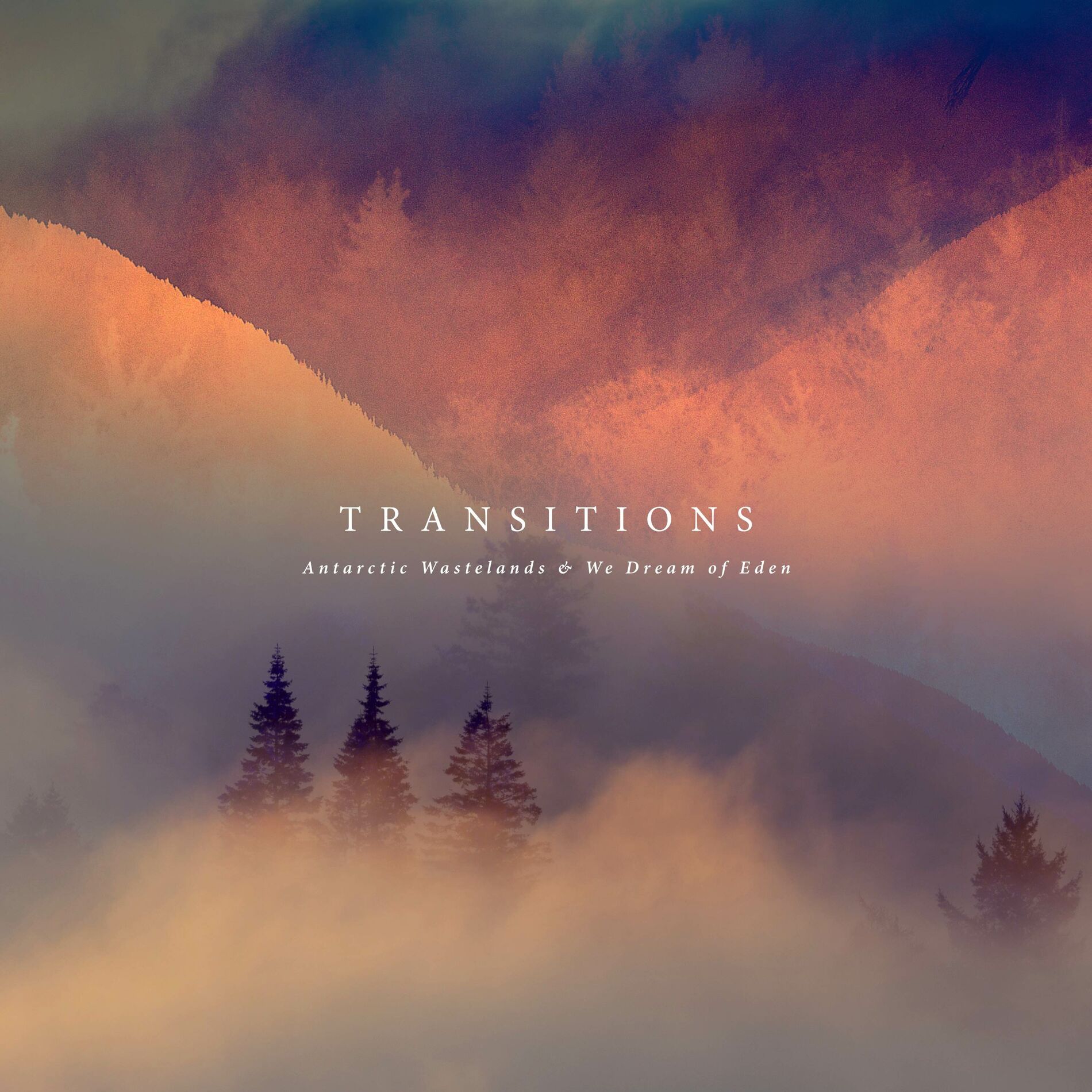 Album cover of Transitions