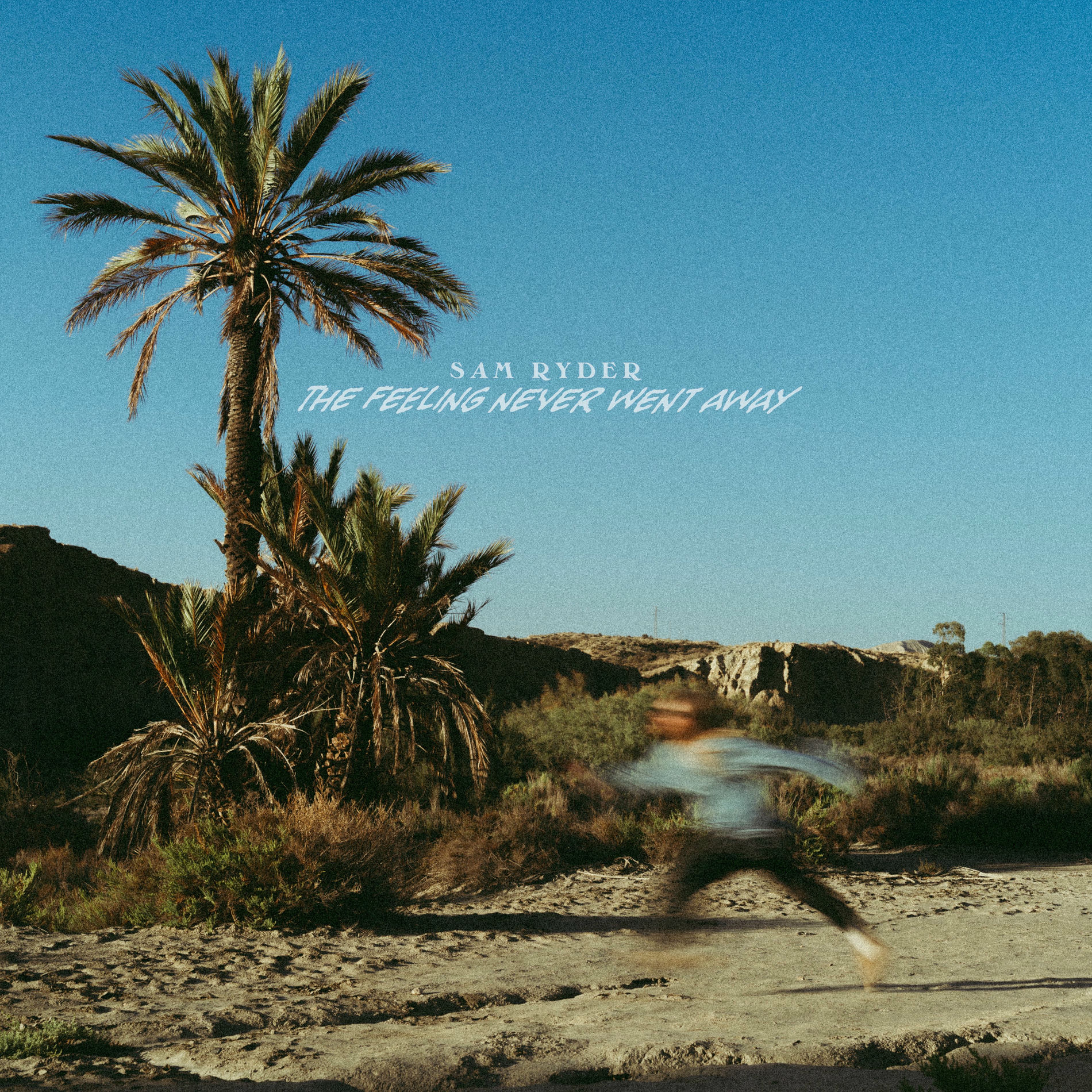 Album cover of The Feeling Never Went Away