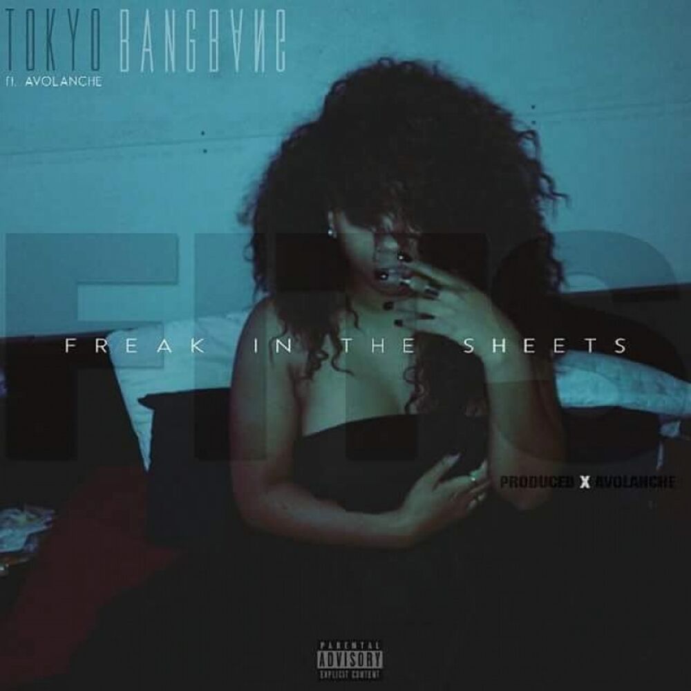 Picture of F.I.T.S. (Freak In The Sheets) [feat. AvOlanche]