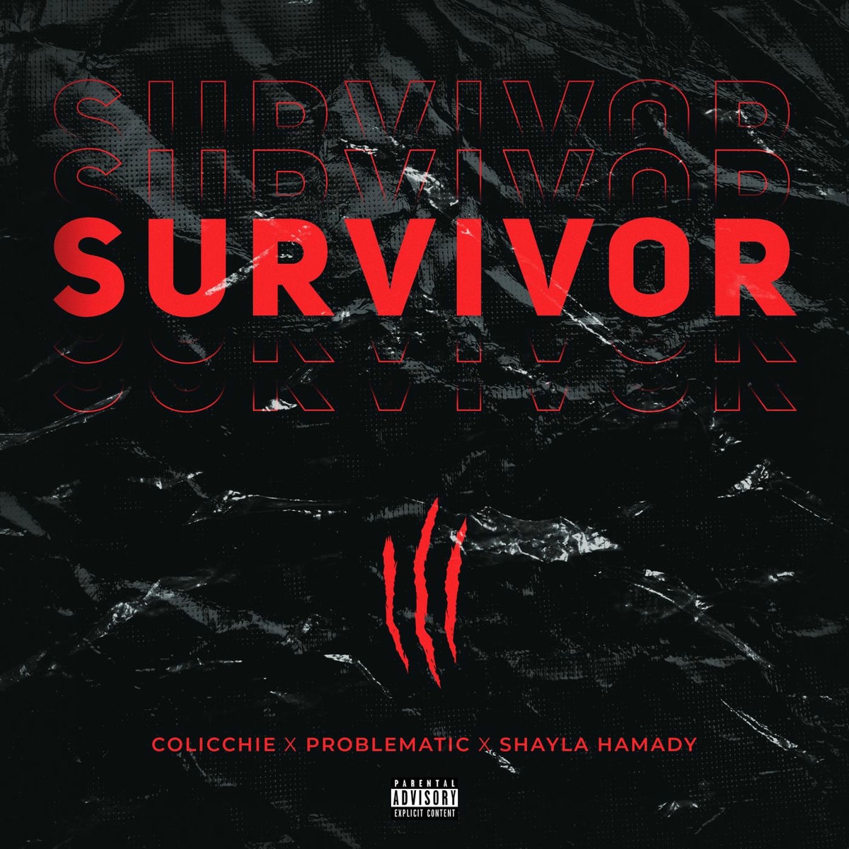 Album cover of Survivor