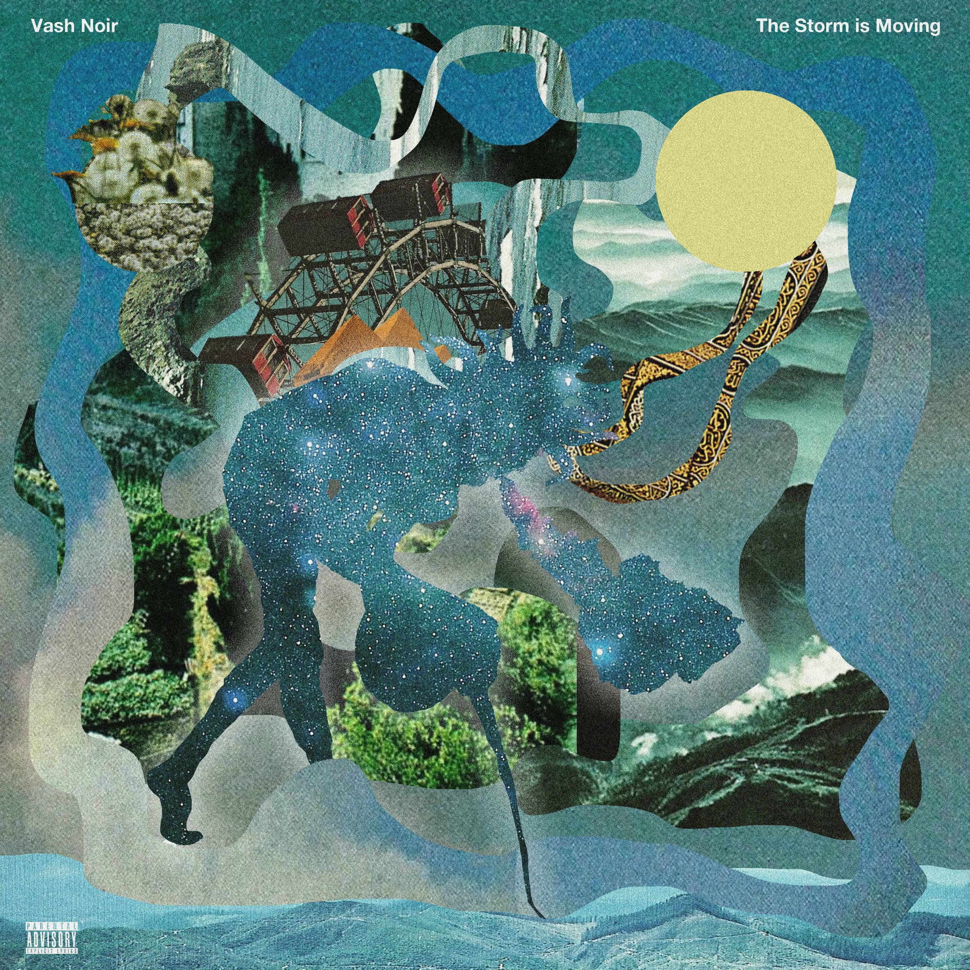 Album cover of The Storm Is Moving