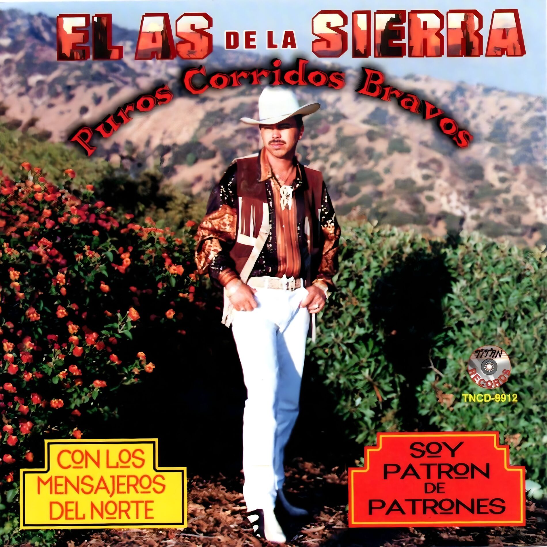 Album cover of Puros Corridos Bravos (Soy Patron De Patrones)