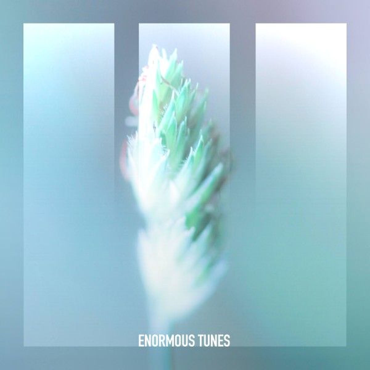 Album cover of Silent Echoes