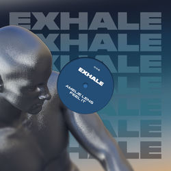 Pochette album