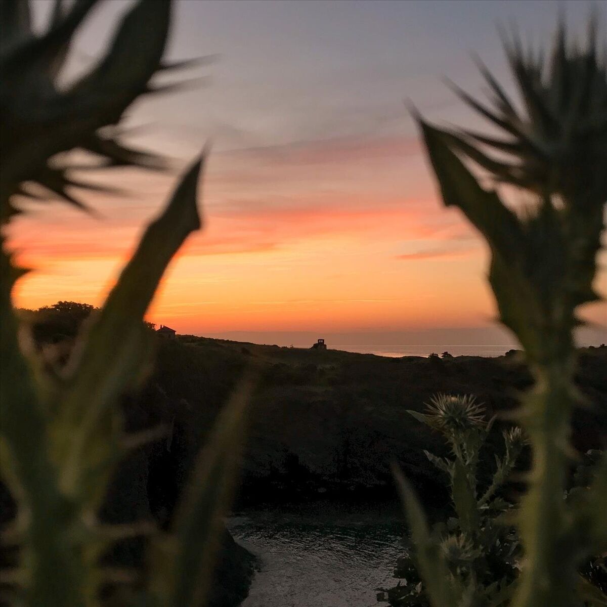 Album cover of Sunrise Anthem