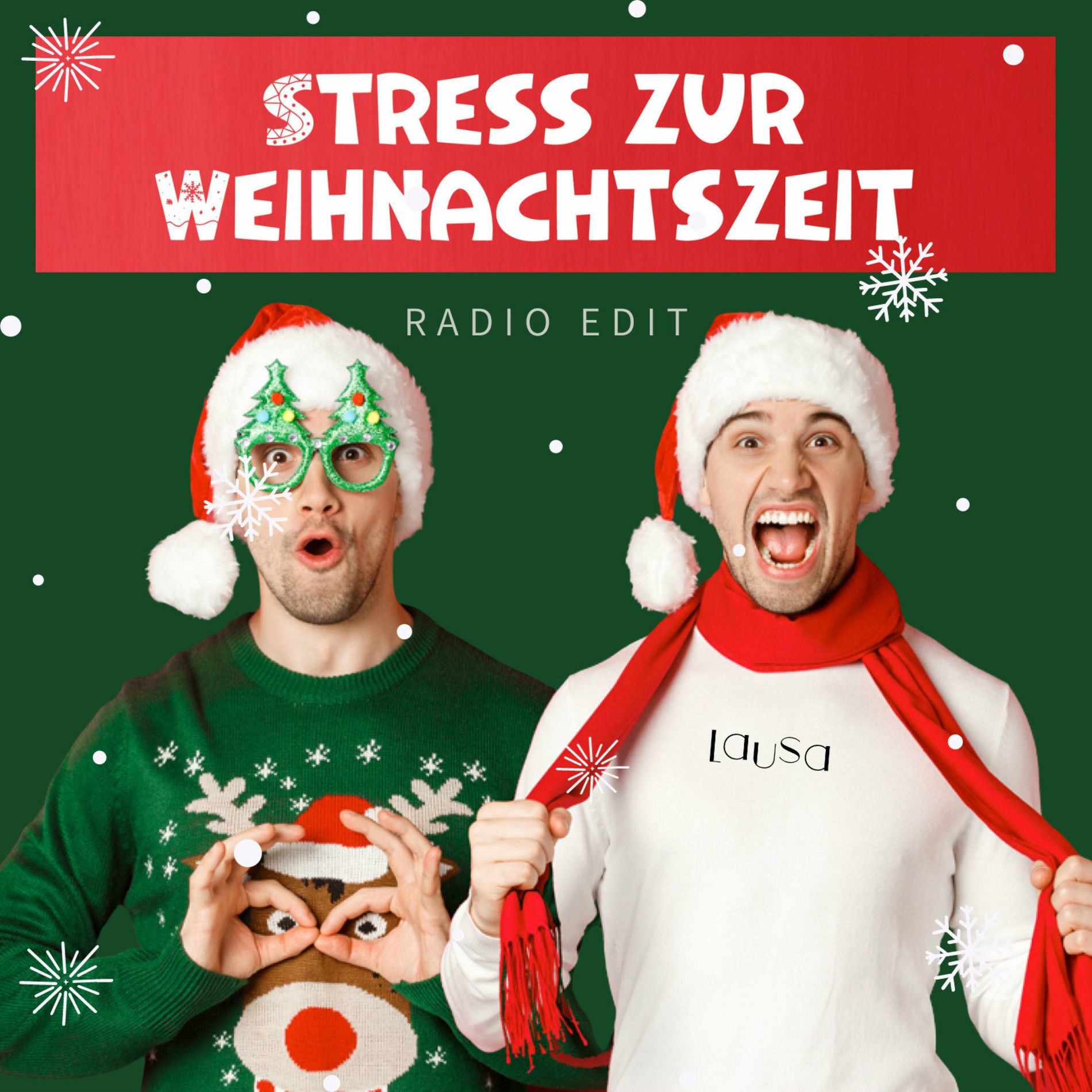 Album cover of Stress zur Weihnachtszeit (Radio Edit)