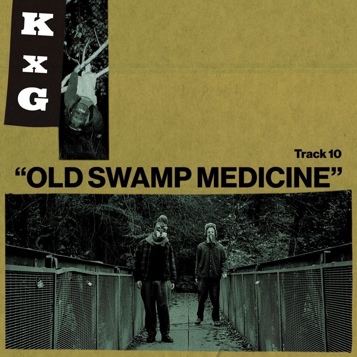 Album cover of Old Swamp Medicine