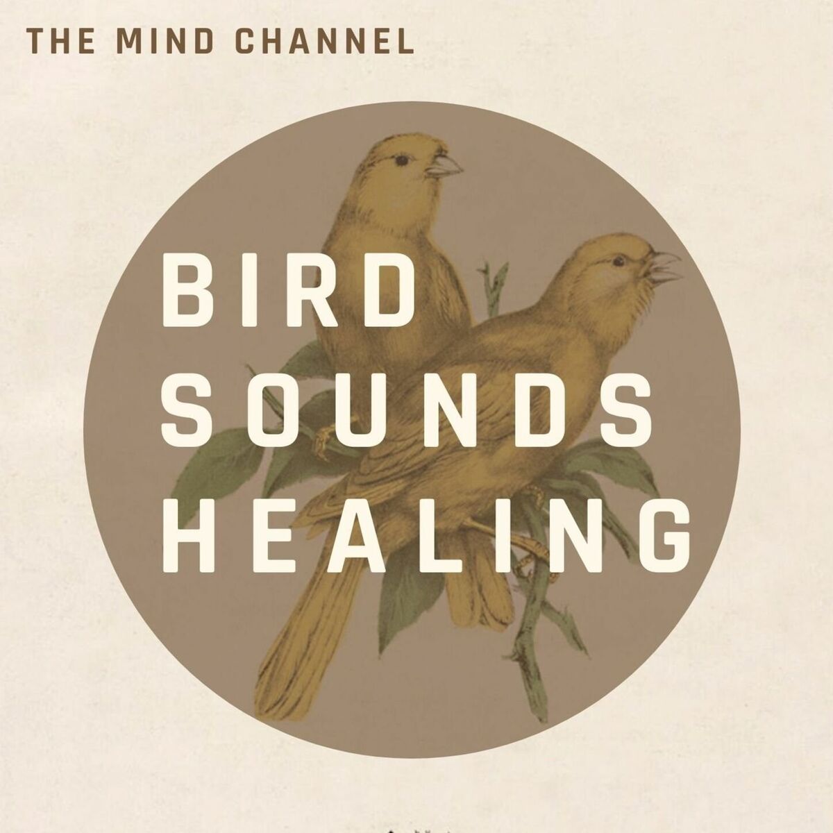 Album cover of Bird Sounds Healing