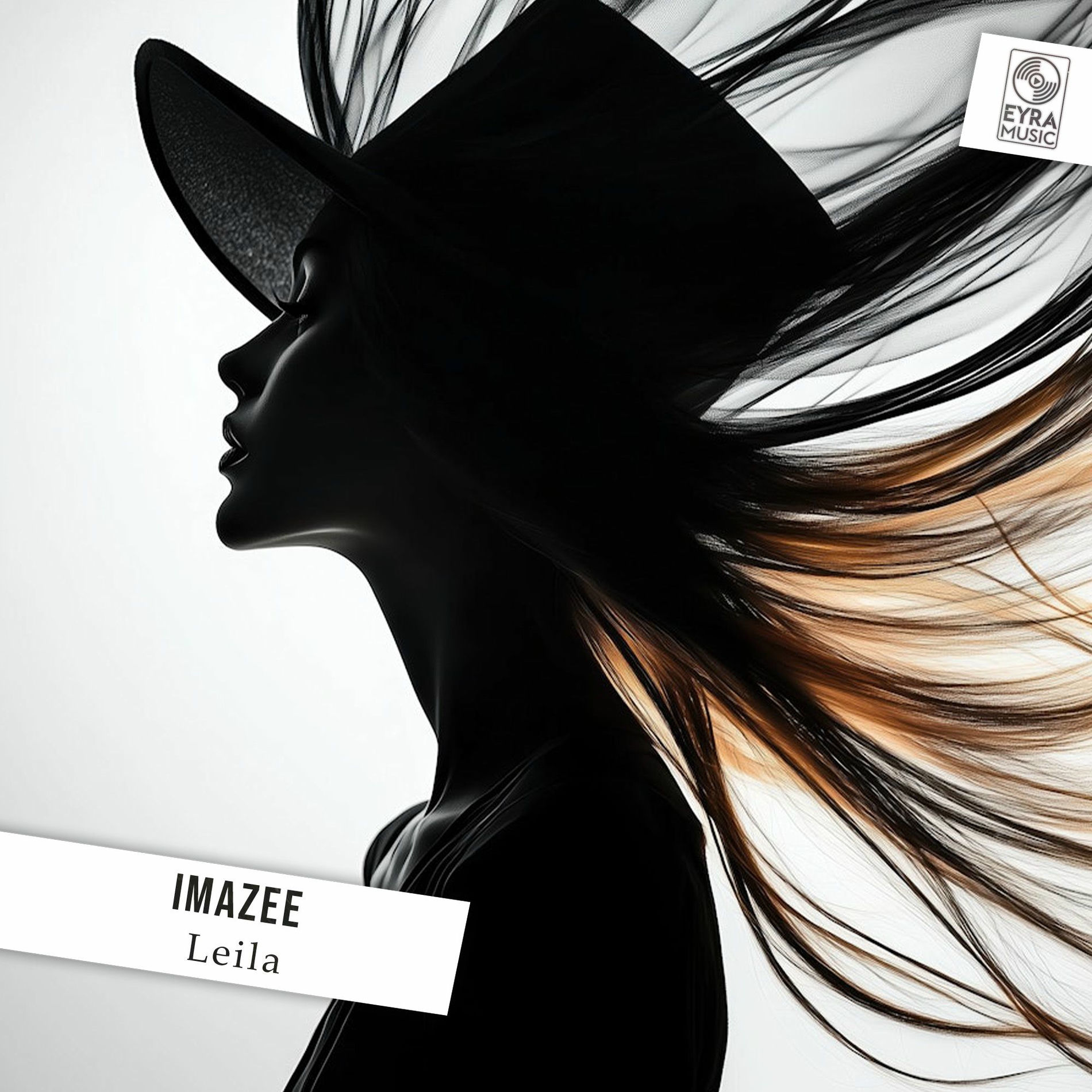 Album cover of Leila