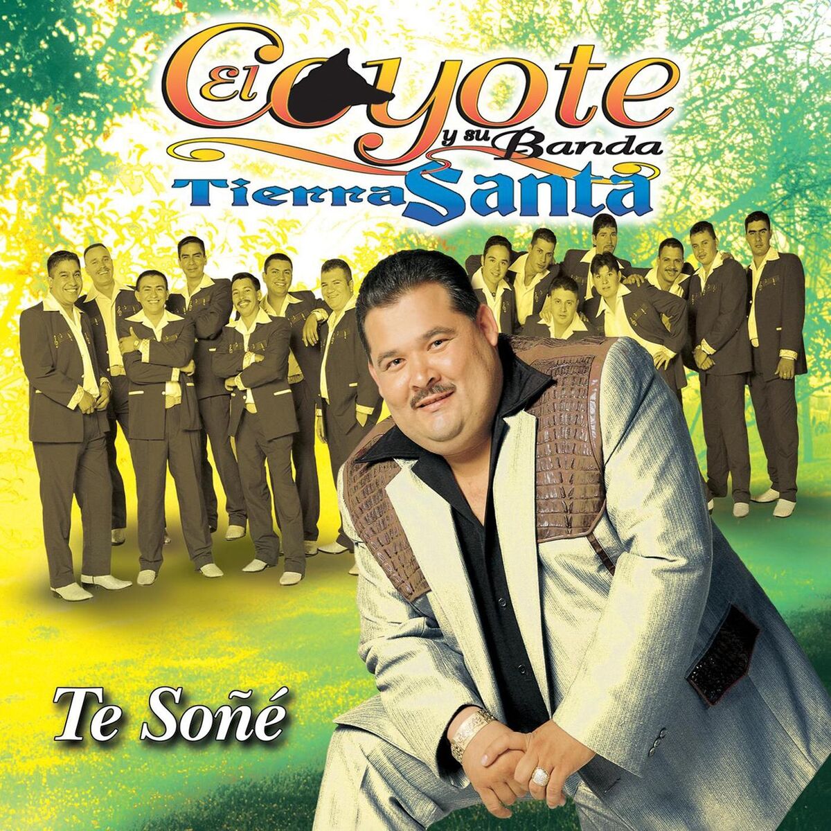 Album cover of Te Soñé