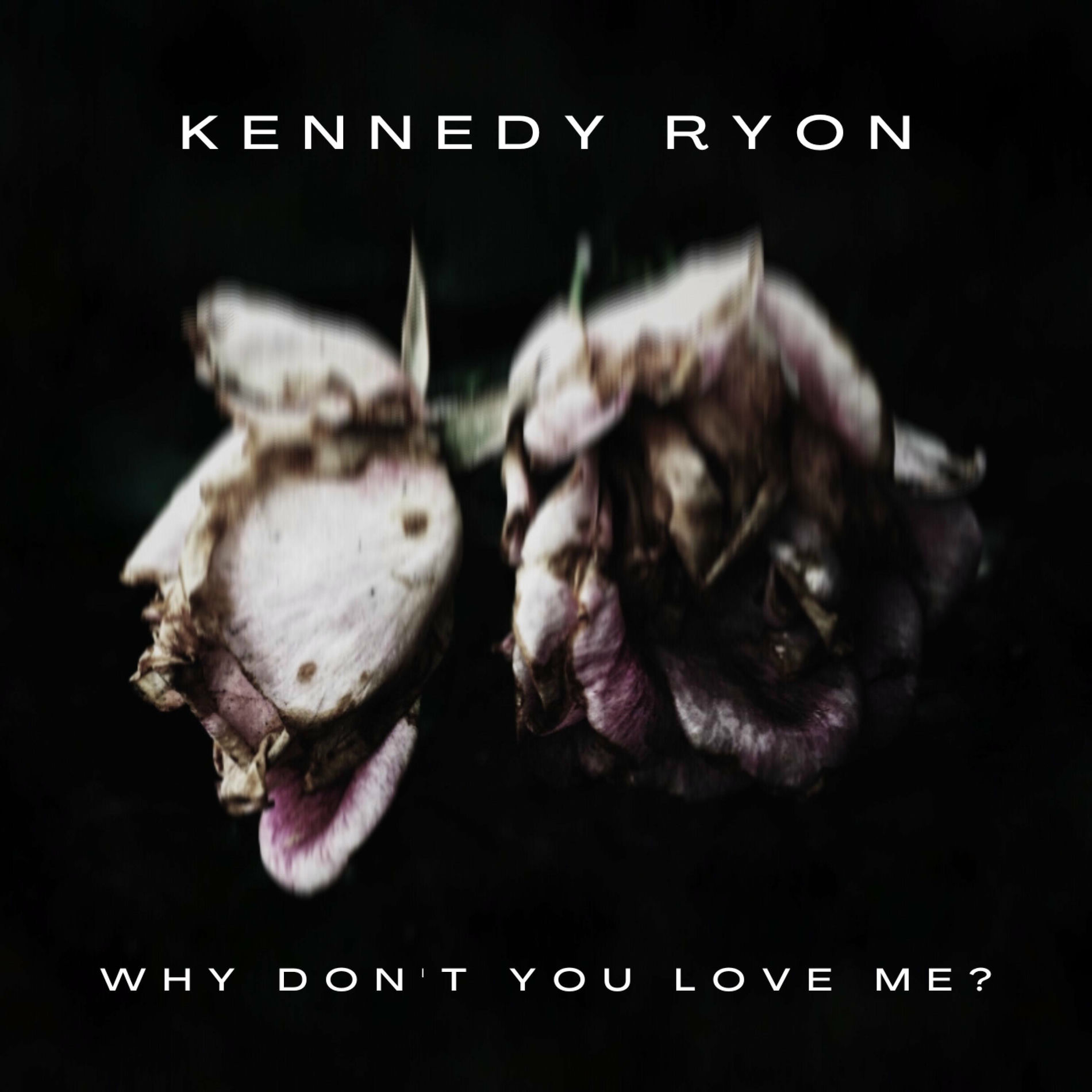 Album cover of Why don't you love me (Special Version)