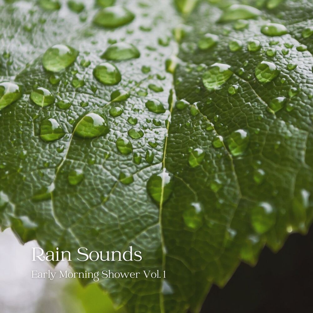 Picture of Rain Sounds: Early Morning Shower Vol. 1