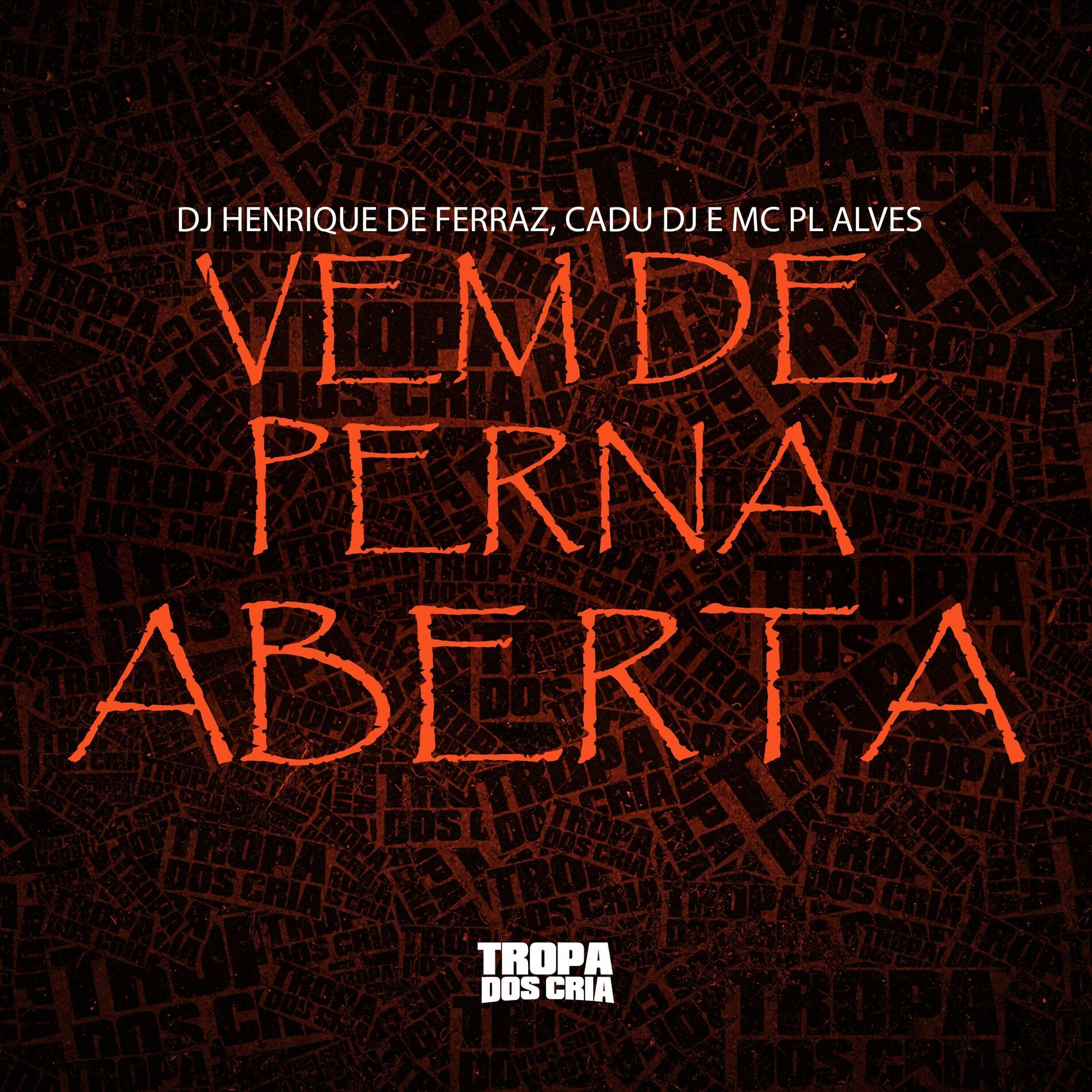 Album cover of Vem de Perna Aberta