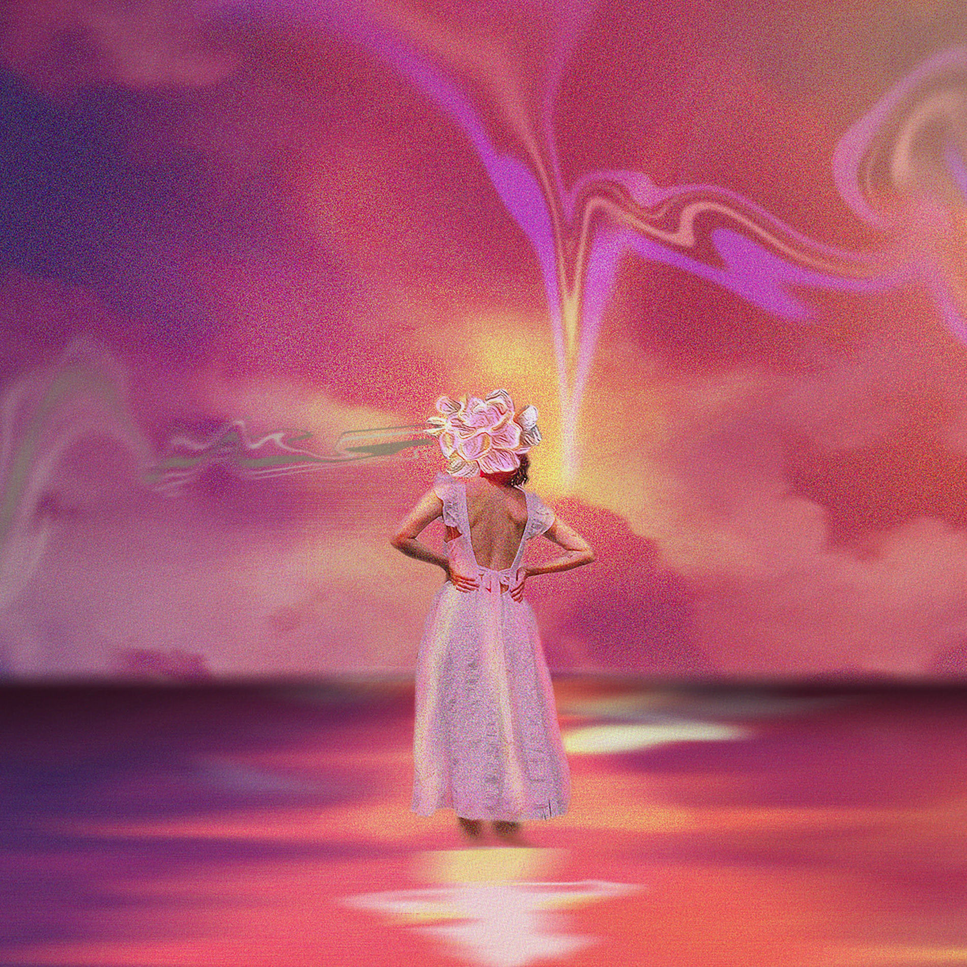 Album cover of Diana