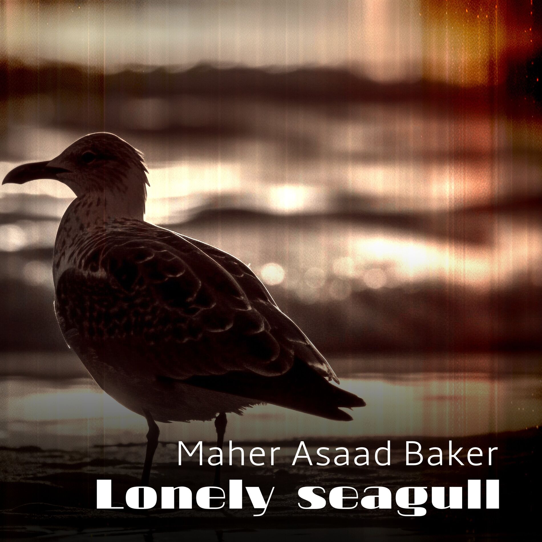 Album cover of Lonely seagull