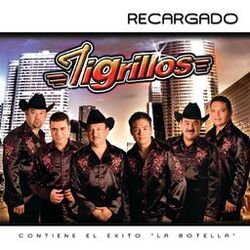 Cover of Recargado